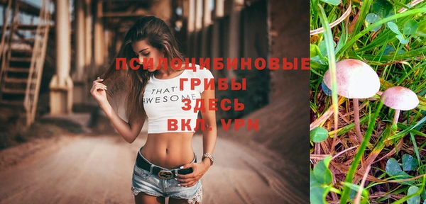 дурь Абаза
