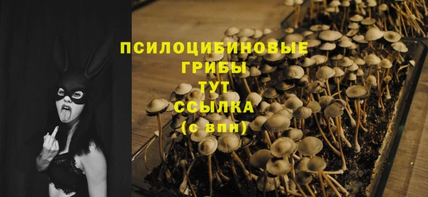 не бодяженный Абдулино