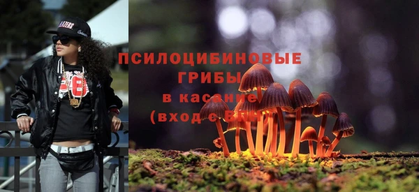 дурь Абаза