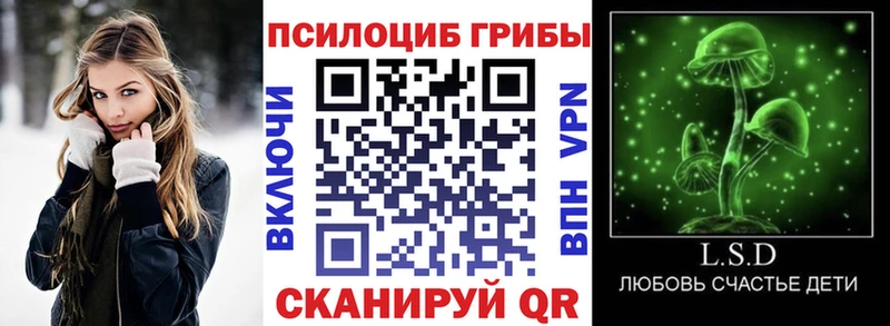 Псилоцибиновые грибы Psilocybe  Нижний Новгород 